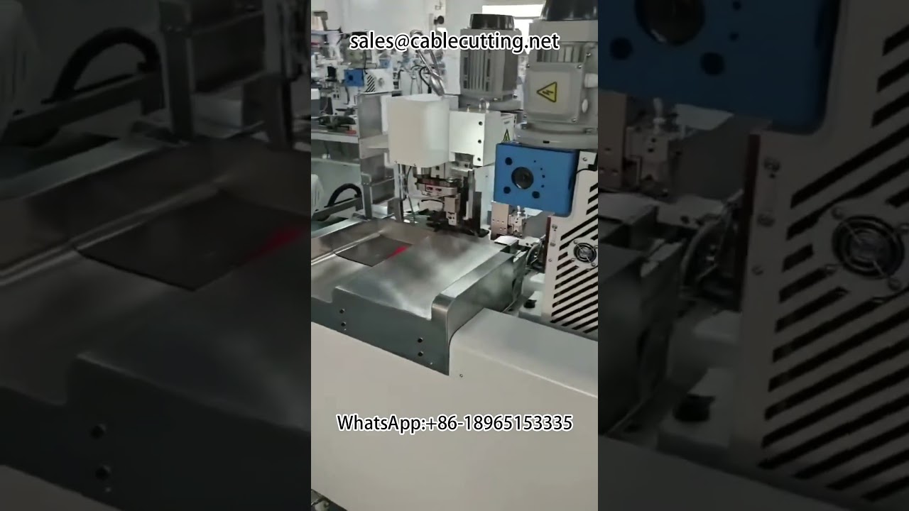 Double Head Automatic Terminal Crimping Machine | Wire Harness Equipment