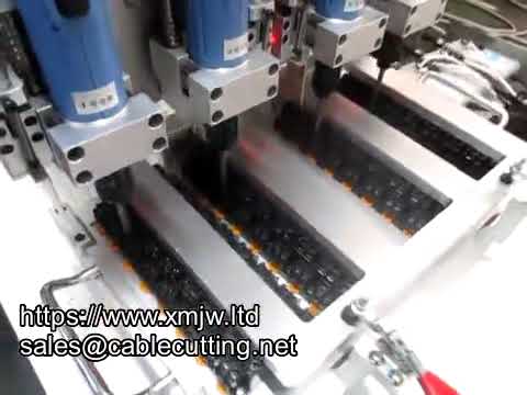 Automatic Desktop Screw Machine Double Head Multi head Screw Tighten Machine