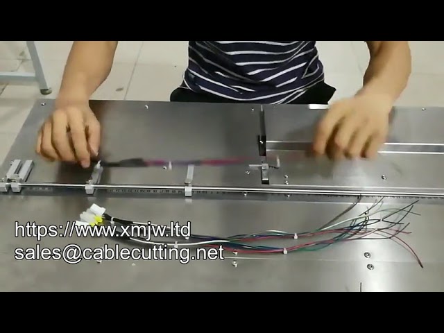 Customized Fully Automatic Nylon Cable Tie Machine & Strapping Machine with Cutting